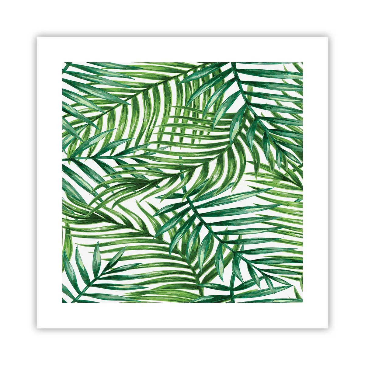 Affiche - Poster - Sous la canopée verte - 40x40 cm