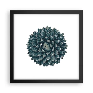 Affiche dans un cadre noir - Poster - Étoile du désert - 30x30 cm