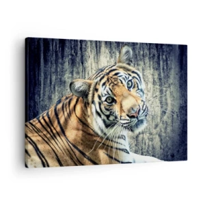 Impression sur toile - Image sur toile - Un tigre couché contre un mur à la texture rugueuse - 70x50cm - Portrait dans les flots de lumière - Décoration murale moderne pour le salon et la chambre ARTTOR