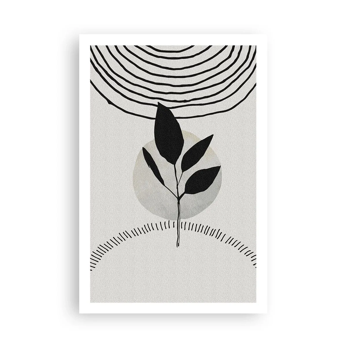 Affiche - Poster - Composition : rituels de la nature - 61x91 cm