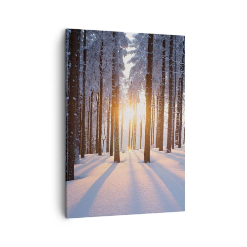 Impression sur toile - Image sur toile - Forêt d'hiver illuminée par les rayons du soleil - 50x70cm - Clairement en noir et blanc - Décoration murale moderne pour le salon et la chambre ARTTOR