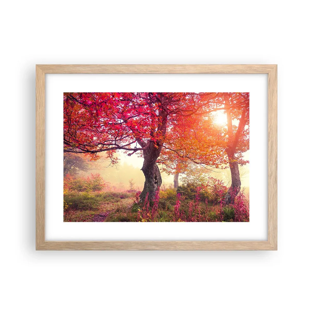 Affiche dans un chêne clair - Poster - Frénésie de floraison - 40x30 cm