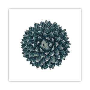 Affiche - Poster - Étoile du désert - 50x50 cm