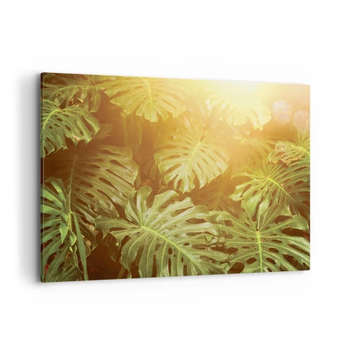 Impression sur toile - Image sur toile - Feuilles de Monstera au soleil sur fond naturel - 100x70cm - Se fondre dans la verdure - Décoration murale moderne pour le salon et la chambre ARTTOR