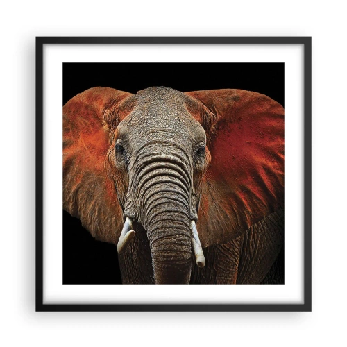 Affiche dans un cadre noir - Poster - Je suis sauvage, et toi? - 50x50 cm