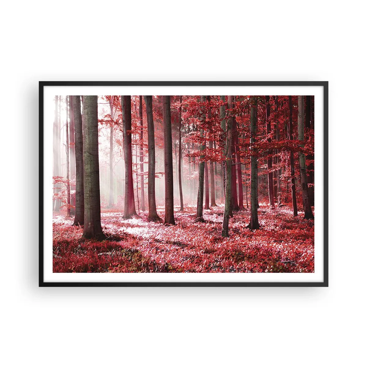 Affiche dans un cadre noir - Poster - Une forêt époustouflante aux teintes rouges avec des rayons de lumière pénétrant à travers les arbres - 100x70cm - Le rouge est tout aussi beau - Décoration murale moderne pour le salon et la chambre ARTTOR