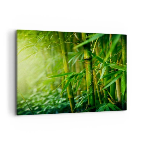 Impression sur toile - Image sur toile - Forêt de bambous verts dans une lumière douce - 100x70cm - Apprenez à connaître le vert lui-même - Décoration murale moderne pour le salon et la chambre ARTTOR
