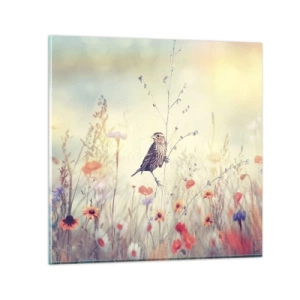 Impression sur verre - Image sur verre - Portrait d'oiseau sur pré en fond - 50x50 cm