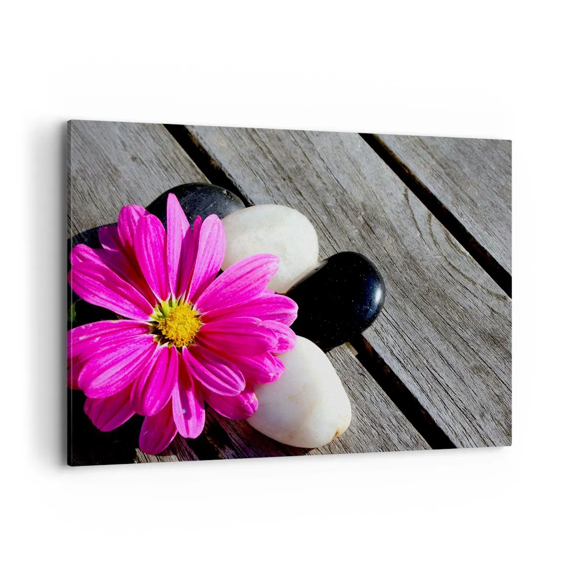 Impression sur toile - Image sur toile - Fleur rose sur un fond de planches de bois avec des pierres - 100x70cm - Repos sur la jetée - Décoration murale moderne pour le salon et la chambre ARTTOR