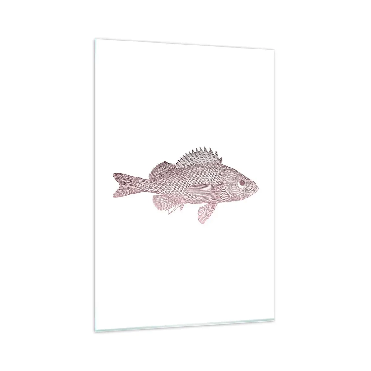 Impression sur verre - Image sur verre - Illustration détaillée d'un poisson sur fond blanc - 80x120cm - Poisson aux grands yeux - Décoration murale moderne pour le salon et la chambre ARTTOR