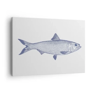 Impression sur toile - Image sur toile - Illustration d'un poisson dans des tons de bleu sur fond clair - 70x50cm - Salutations des mers du nord - Décoration murale moderne pour le salon et la chambre ARTTOR