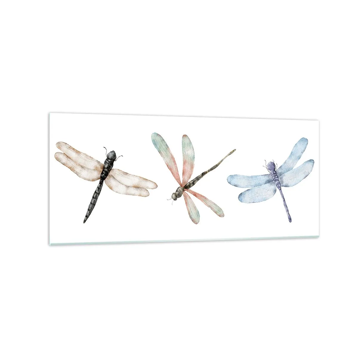 Impression sur verre - Image sur verre - Trois libellules aux couleurs pastel délicates - 120x50cm - Libellules en apesanteur - Décoration murale moderne pour le salon et la chambre ARTTOR