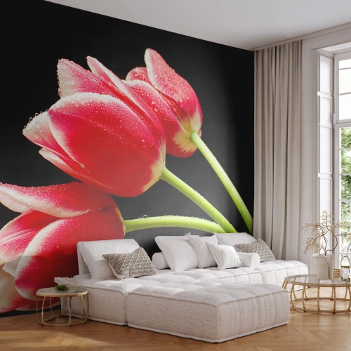 Papier Peint Photo Premium Sand - Une promesse d'amour pur - Fleurs, Tulipes, Nature - 400x280 cm