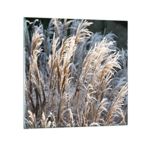 Impression sur verre - Image sur verre - Habillé de givre - 30x30 cm
