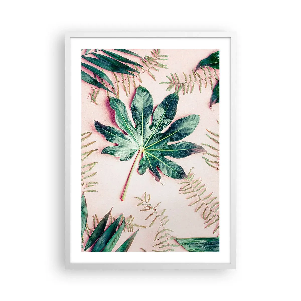 Affiche dans un cadre blanc - Poster - Étude de verdure sur fond rose - 50x70 cm