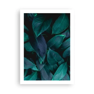 Affiche - Poster - Feuilles vert foncé avec un rétroéclairage subtil - 50x70cm - le vert lui-même - Décoration murale moderne pour le salon et la chambre ARTTOR