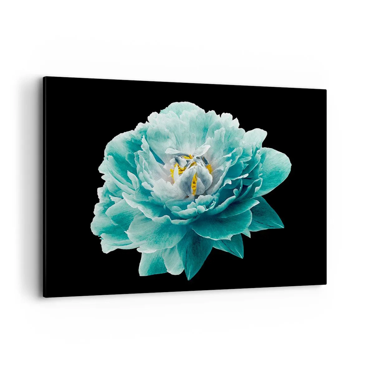 Impression sur toile - Image sur toile - Fleur de pivoine turquoise sur fond noir - 100x70cm - Pétales bleus et dorés - Décoration murale moderne pour le salon et la chambre ARTTOR
