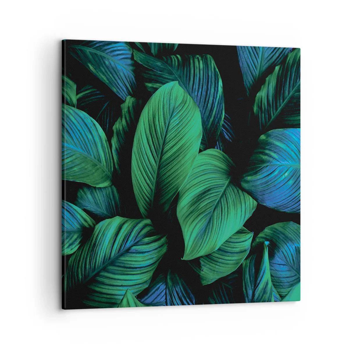 Impression sur toile - Image sur toile - Dans la foule verte - 50x50 cm