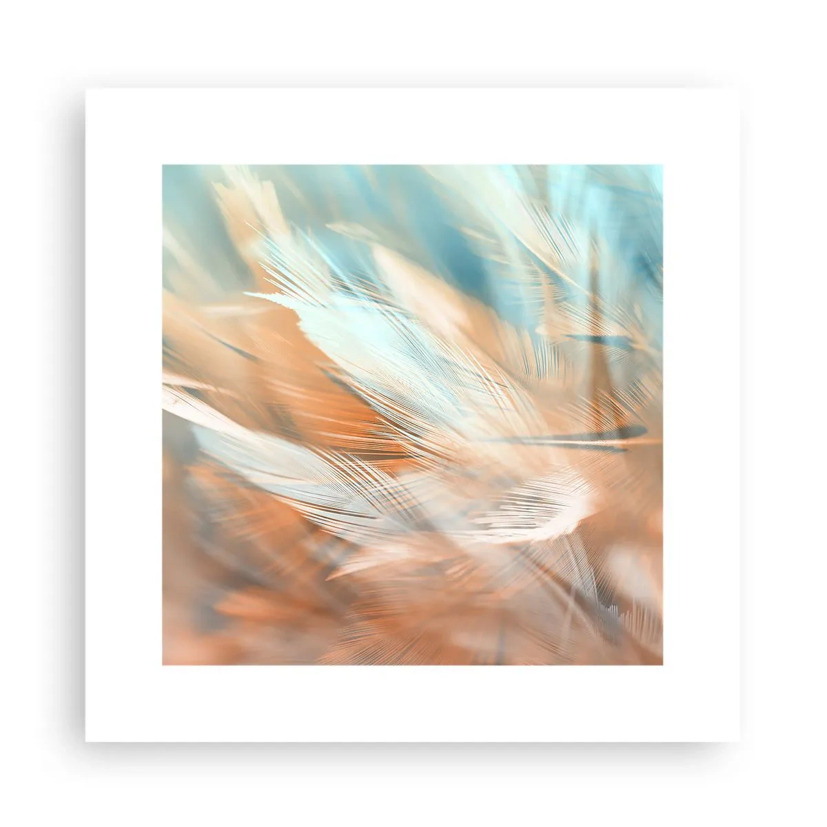 Affiche - Poster - Au pays de la douceur - 30x30 cm