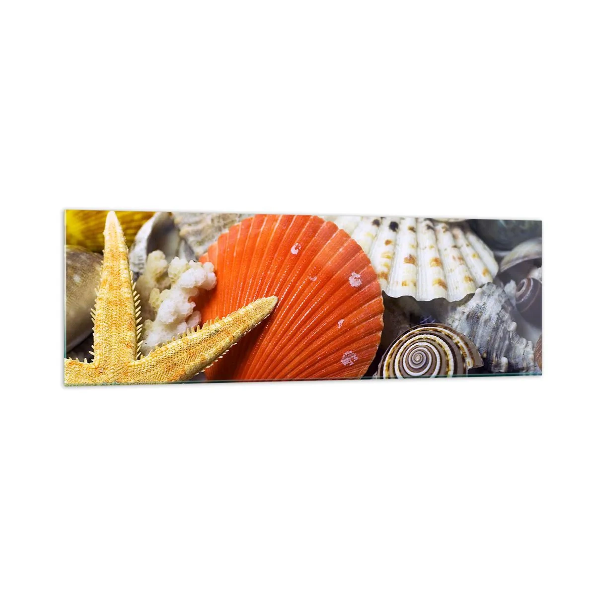 Impression sur verre - Image sur verre - Coquillages et étoiles de mer dans une composition marine - 160x50cm - Trésors de l'océan - Décoration murale moderne pour le salon et la chambre ARTTOR