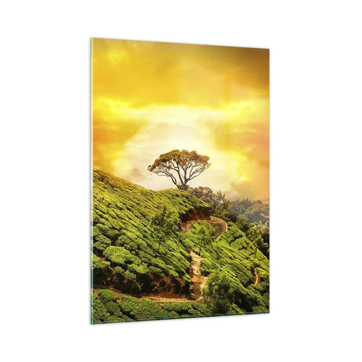 Impression sur verre - Image sur verre - Collines verdoyantes avec un arbre solitaire au coucher du soleil - 50x70cm - Un chemin sinueux, une pente verte - Décoration murale moderne pour le salon et la chambre ARTTOR