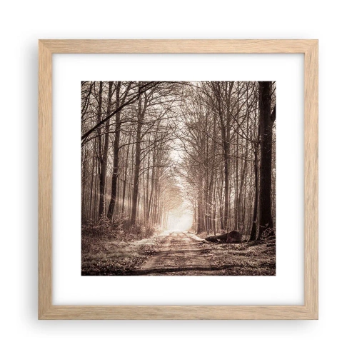 Affiche dans un chêne clair - Poster - Cathédrale de la forêt - 30x30 cm