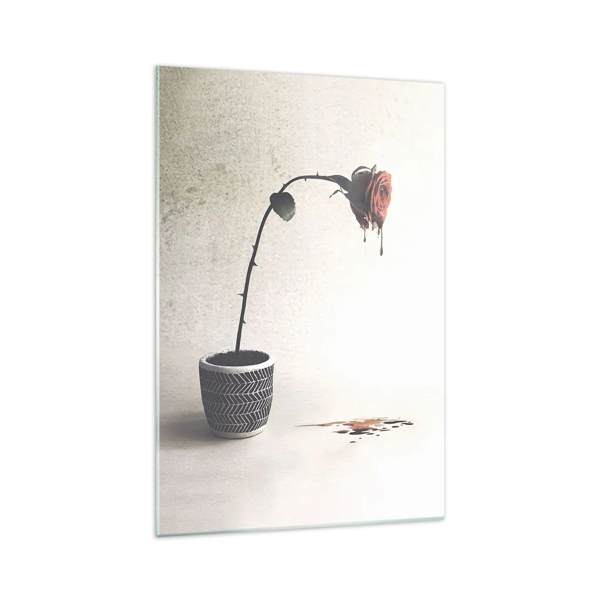 Impression sur verre - Image sur verre - Une rose rouge dans un pot avec des gouttes de colorant sur un fond blanc - 70x100cm - Rosa dolorosa - Décoration murale moderne pour le salon et la chambre ARTTOR