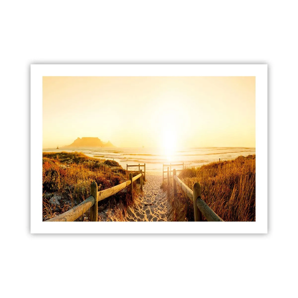 Affiche - Poster - A travers la dune, vers le soleil - 70x50 cm