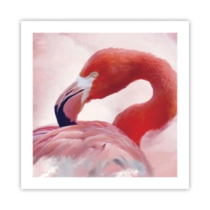 Affiche - Poster - Beauté des oiseaux - 50x50 cm