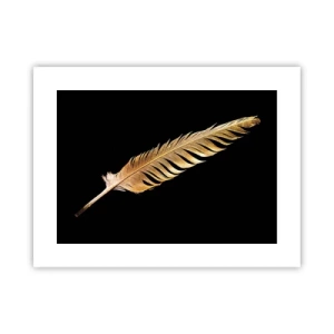 Affiche - Poster - Sans porte-plume - 40x30 cm
