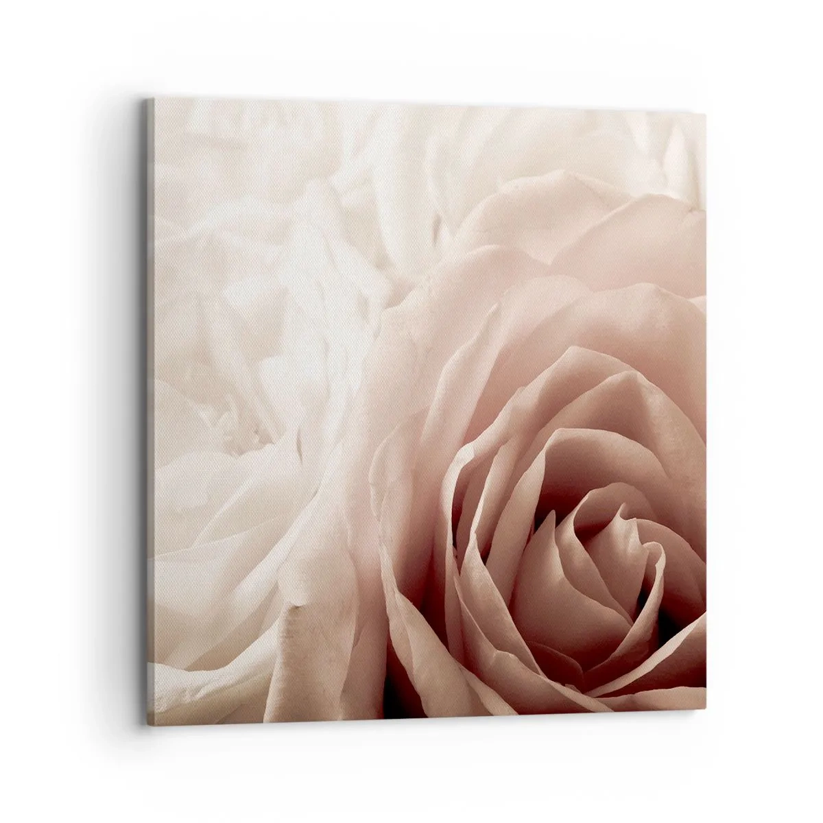 Impression sur toile - Image sur toile - Au coeur d'ue la rose - 70x70 cm