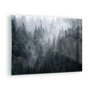 Impression sur verre - Image sur verre - Brouillard suspendu au-dessus de la dense forêt de conifères le matin - 70x50cm - Aube de la forêt - Décoration murale moderne pour le salon et la chambre ARTTOR