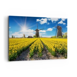 Impression sur toile - Image sur toile - Un champ de tulipes jaunes avec des moulins à vent à l'horizon - 100x70cm - Ça ne pourrait pas être plus hollandais - Décoration murale moderne pour le salon et la chambre ARTTOR