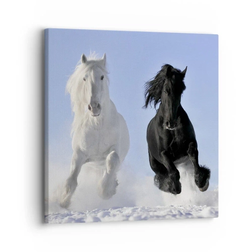 Impression sur toile - Image sur toile - Galop noir et blanc - 30x30 cm