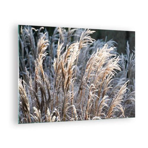 Impression sur verre - Image sur verre - Herbes gelées au soleil d'hiver - 70x50cm - Habillé de givre - Décoration murale moderne pour le salon et la chambre ARTTOR