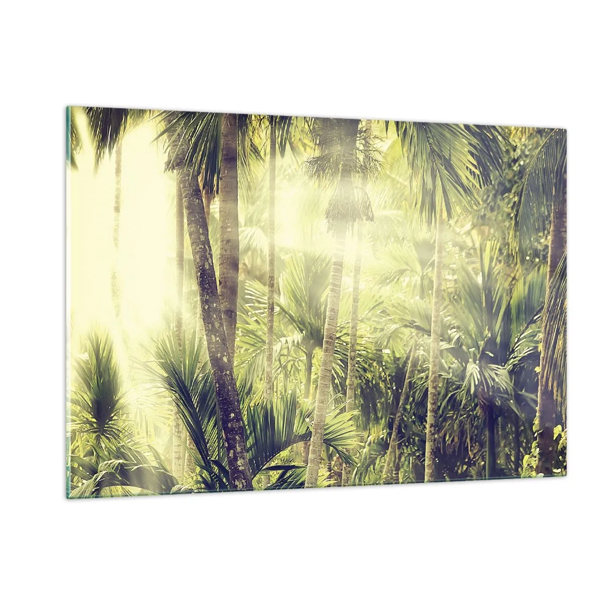 Impression sur verre - Image sur verre - Jungle tropicale verte au soleil - 120x80cm - Nature enflammée - Décoration murale moderne pour le salon et la chambre ARTTOR