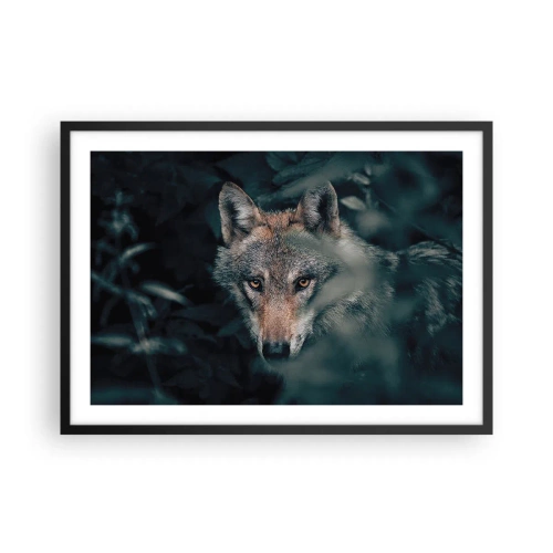 Affiche dans un cadre noir - Poster - Un loup dans son environnement naturel, regardant depuis les profondeurs de la forêt. - 70x50cm - Chasseur - Décoration murale moderne pour le salon et la chambre ARTTOR