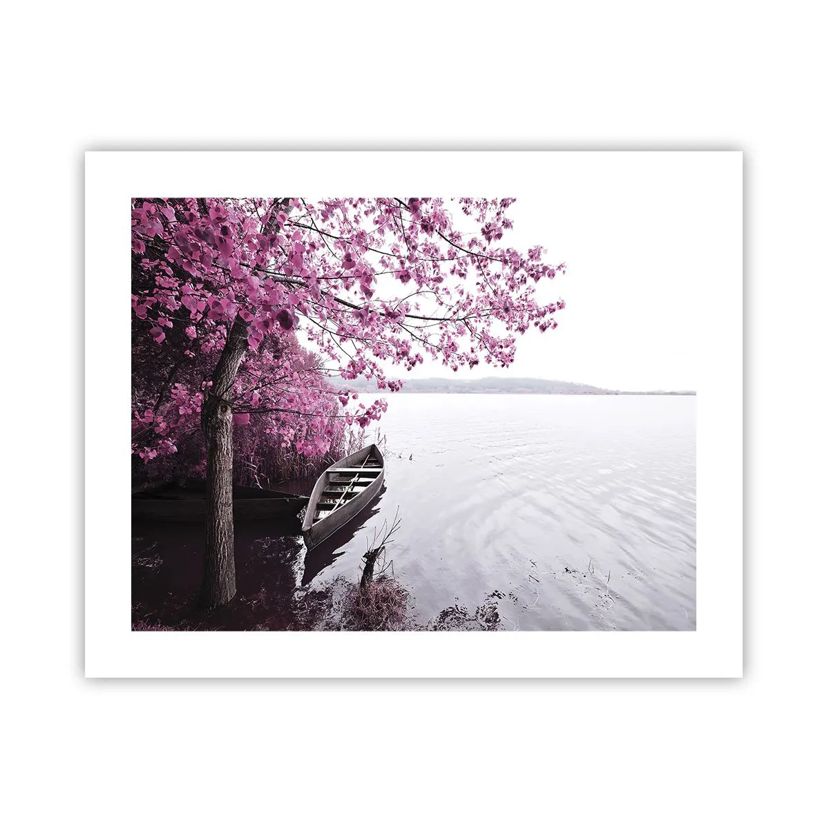 Affiche - Poster - Dans un silence rose - 50x40 cm