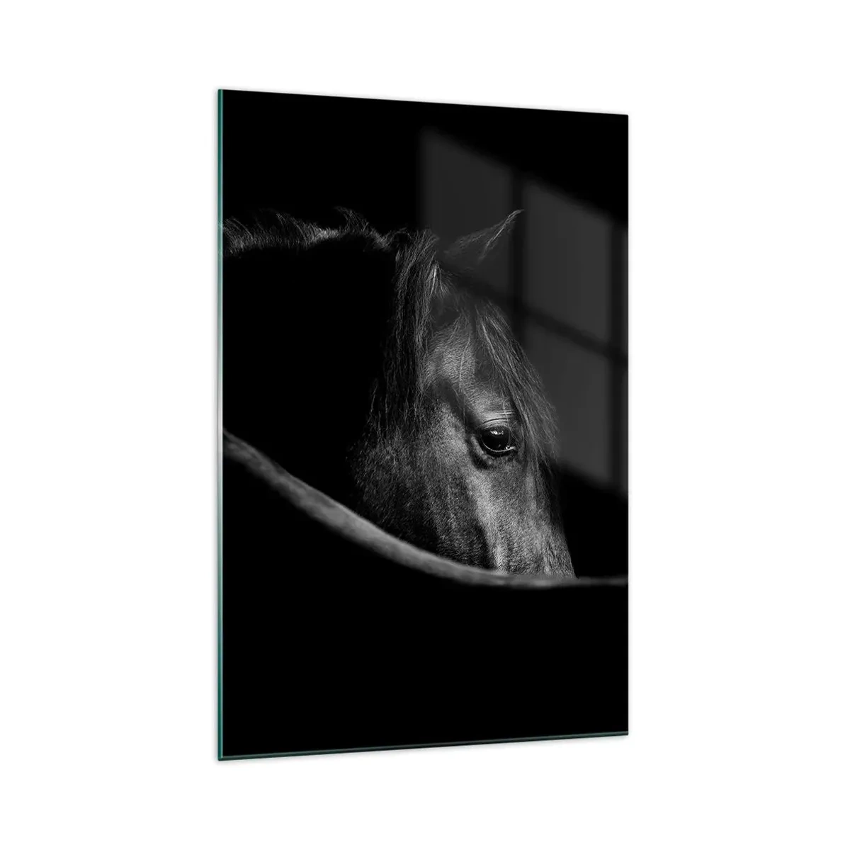 Impression sur verre - Image sur verre - Portrait en noir et blanc d'un cheval avec un jeu subtil de lumière et d'ombre sur un fond sombre. - 70x100cm - Prince Noir - Décoration murale moderne pour le salon et la chambre ARTTOR