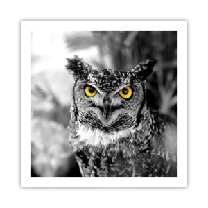 Affiche - Poster - Rien ne se cachera - 60x60 cm