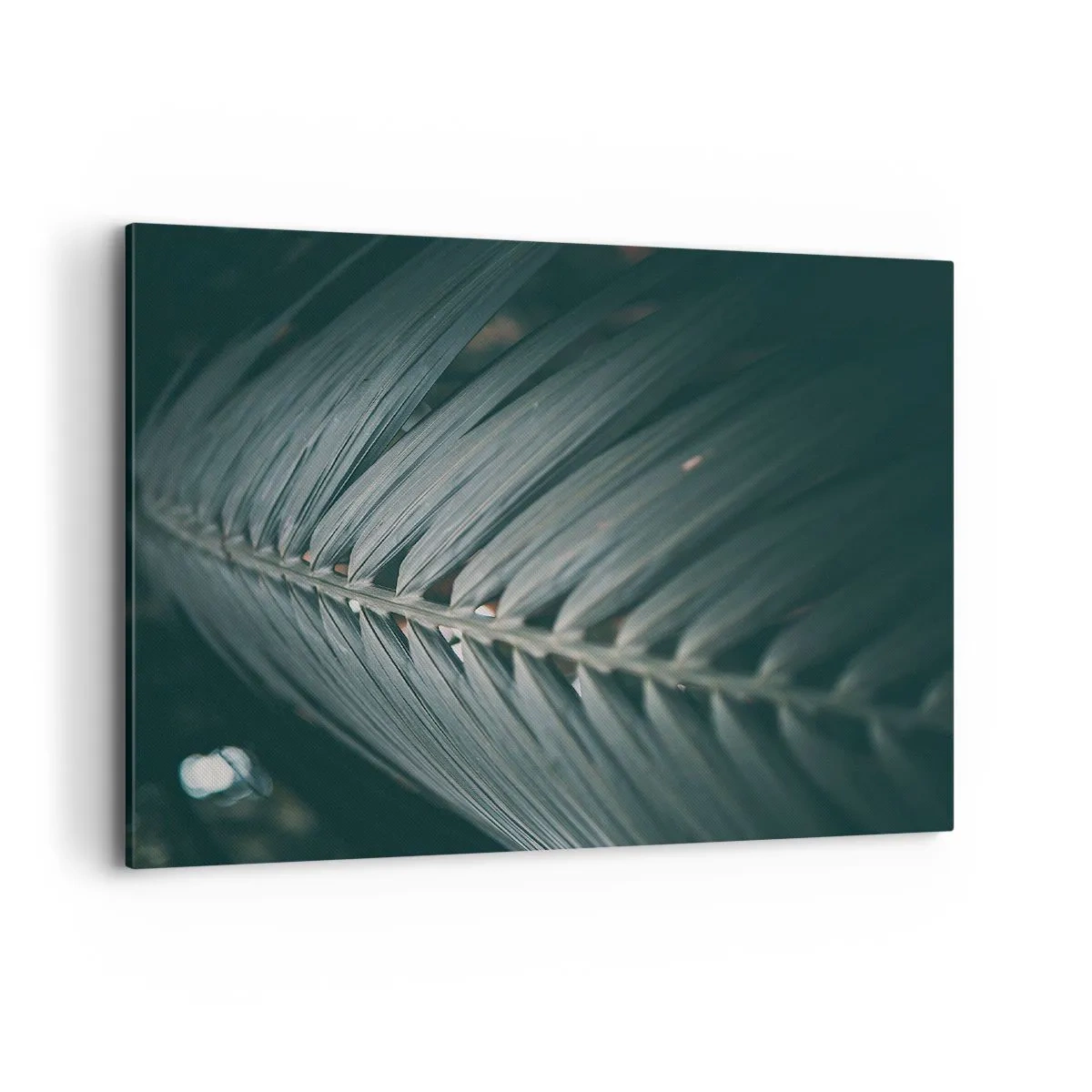 Impression sur toile - Image sur toile - Gros plan d'un détail de feuille de palmier aux tons sombres - 100x70cm - Précision de la nature - Décoration murale moderne pour le salon et la chambre ARTTOR