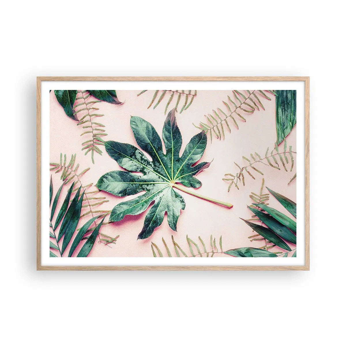 Affiche dans un chêne clair - Poster - Étude de verdure sur fond rose - 100x70 cm