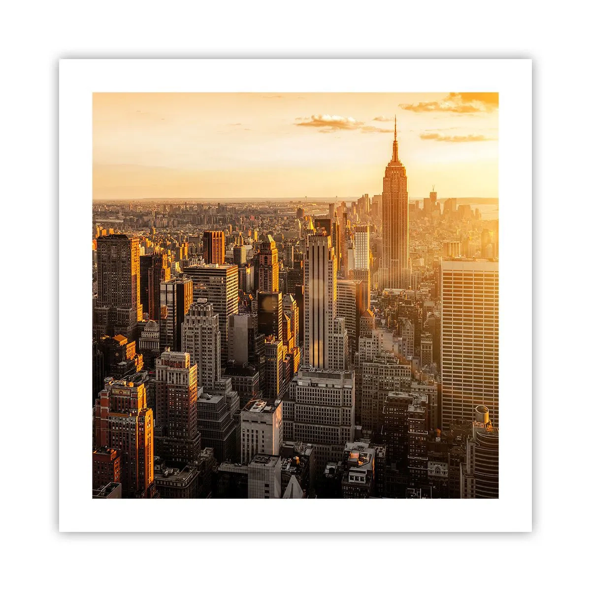Affiche - Poster - Grandir au soleil - 50x50 cm