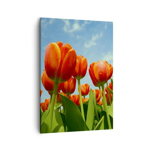 Impression sur toile - Image sur toile - Un champ de tulipes rouges et oranges contre un ciel bleu - 50x70cm - A part le ciel bleu, ils n'ont besoin de rien dans leur vie - Décoration murale moderne pour le salon et la chambre ARTTOR