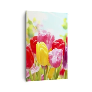 Impression sur toile - Image sur toile - Tulipes colorées en pleine floraison sur fond de printemps - 80x120cm - C'est nous, les couleurs de Mai! - Décoration murale moderne pour le salon et la chambre ARTTOR