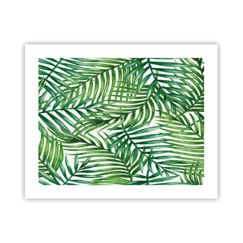 Affiche - Poster - Sous la canopée verte - 50x40 cm