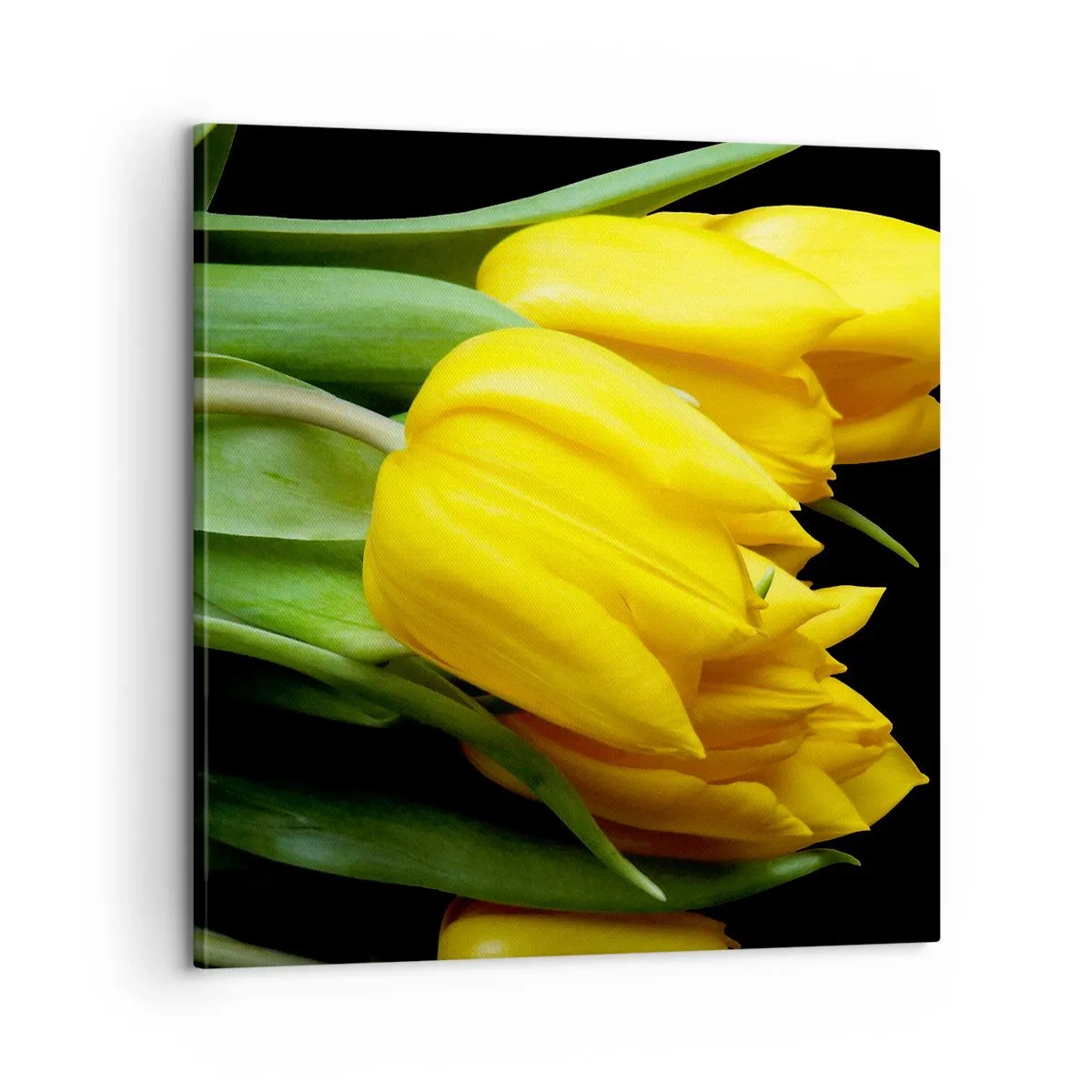 Impression sur toile - Image sur toile - Lever de soleil pur - 60x60 cm