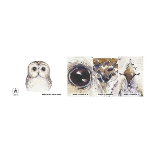 Échantillon de Papier Peint Autocollant Deluxe Sticker - Regarde-moi dans les yeux - Hibou, Oiseau, Graphique - 100x30 cm