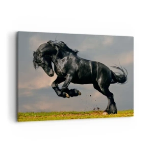 Impression sur toile - Image sur toile - Un cheval noir dans un saut dynamique contre le ciel - 100x70cm - Beau et libre - Décoration murale moderne pour le salon et la chambre ARTTOR