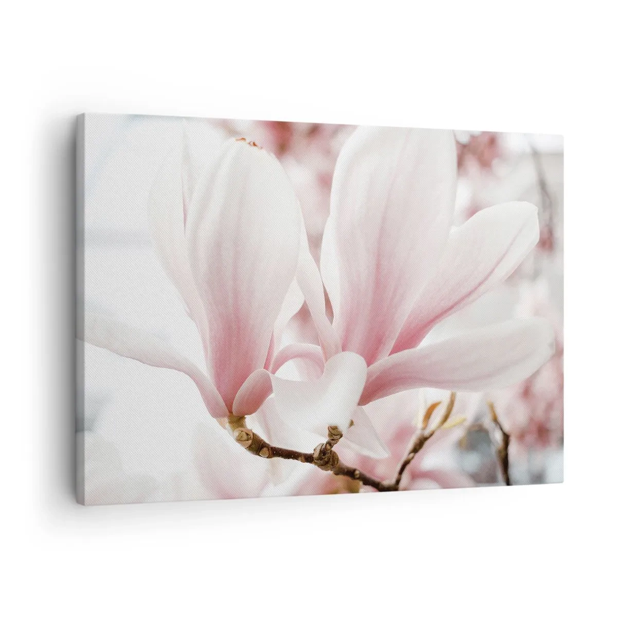 Impression sur toile - Image sur toile - Fleurs de magnolia délicates aux tons pastel - 70x50cm - Abondance de tendresse - Décoration murale moderne pour le salon et la chambre ARTTOR